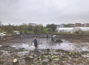 海门河道鱼塘清淤